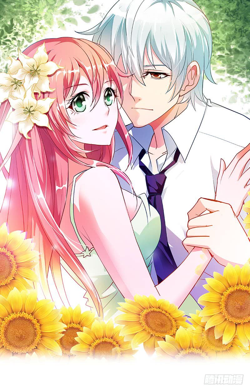 恋上小甜妻百看不厌的你